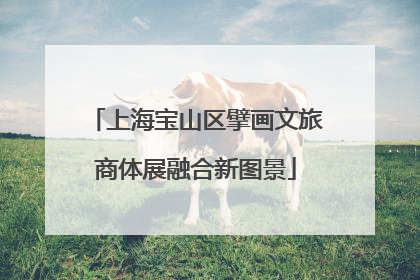 上海宝山区擘画文旅商体展融合新图景