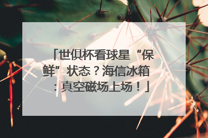 世俱杯看球星“保鲜”状态？海信冰箱：真空磁场上场！