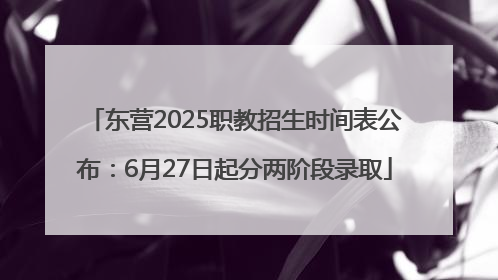 东营2025职教招生时间表公布：6月27日起分两阶段录取