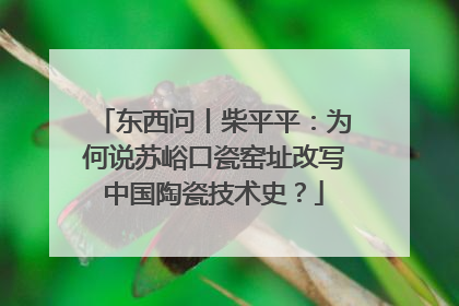 东西问丨柴平平：为何说苏峪口瓷窑址改写中国陶瓷技术史？