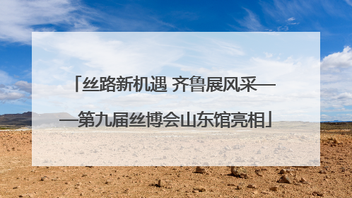 丝路新机遇 齐鲁展风采——第九届丝博会山东馆亮相