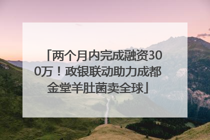 两个月内完成融资300万！政银联动助力成都金堂羊肚菌卖全球