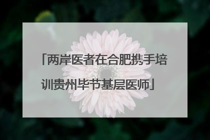 两岸医者在合肥携手培训贵州毕节基层医师