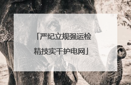 严纪立规强运检 精技实干护电网