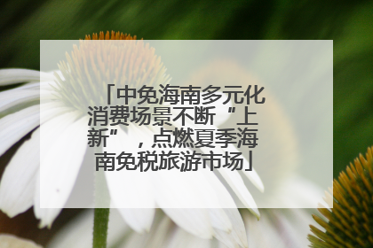 中免海南多元化消费场景不断“上新”，点燃夏季海南免税旅游市场