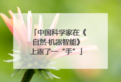 中国科学家在《自然·机器智能》上露了一“手”