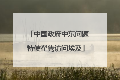 中国政府中东问题特使翟隽访问埃及