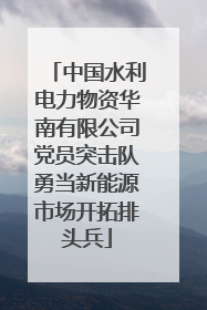 中国水利电力物资华南有限公司党员突击队勇当新能源市场开拓排头兵
