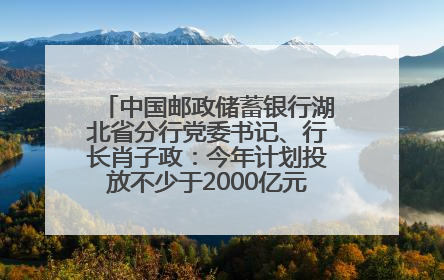 中国邮政储蓄银行湖北省分行党委书记、行长肖子政：今年计划投放不少于2000亿元支持支点建设