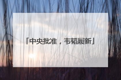 中央批准，韦韬履新
