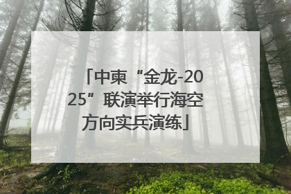 中柬“金龙-2025”联演举行海空方向实兵演练