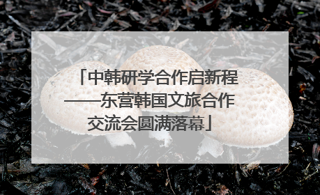 中韩研学合作启新程——东营韩国文旅合作交流会圆满落幕