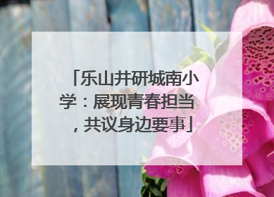 乐山井研城南小学：展现青春担当，共议身边要事