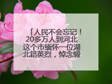 人民不会忘记！20多万人到河北这个市缅怀一位湖北籍英烈，悼念缎带挂满纪念馆