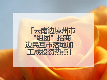 云南边境州市“组团”招商 边民互市落地加工成投资热点