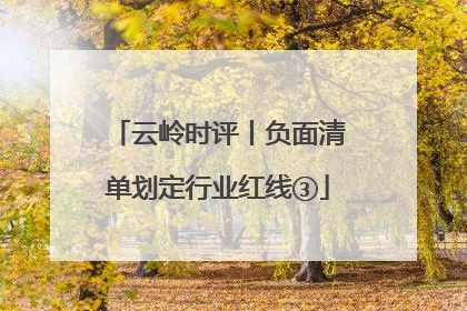 云岭时评丨负面清单划定行业红线③