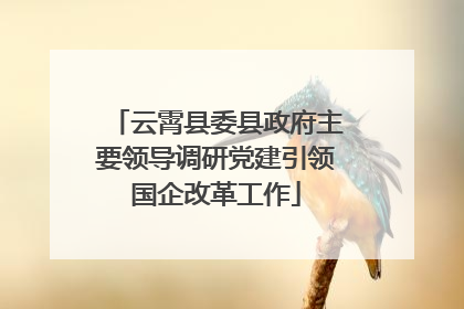 云霄县委县政府主要领导调研党建引领国企改革工作