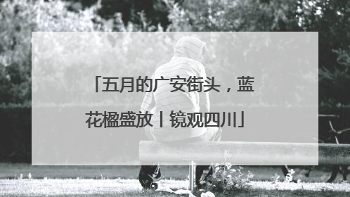 五月的广安街头，蓝花楹盛放丨镜观四川