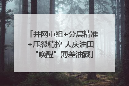 井网重组+分层精准+压裂精控 大庆油田“唤醒”薄差油藏