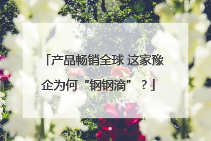 产品畅销全球 这家豫企为何“钢钢滴”？