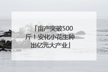 亩产突破500斤！安化小花生种出亿元大产业