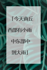 今天商丘西部有小雨 中东部中到大雨
