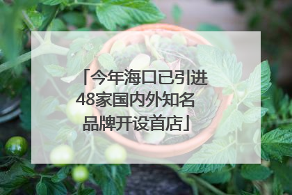 今年海口已引进48家国内外知名品牌开设首店