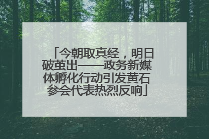 今朝取真经，明日破茧出——政务新媒体孵化行动引发黄石参会代表热烈反响
