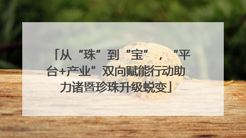 从“珠”到“宝”，“平台+产业”双向赋能行动助力诸暨珍珠升级蜕变