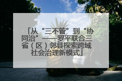 从“三不管”到“协同治”——罗平联合三省（区）邻县探索跨域社会治理新模式