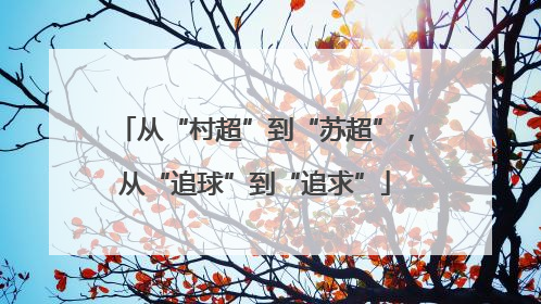 从“村超”到“苏超”，从“追球”到“追求”