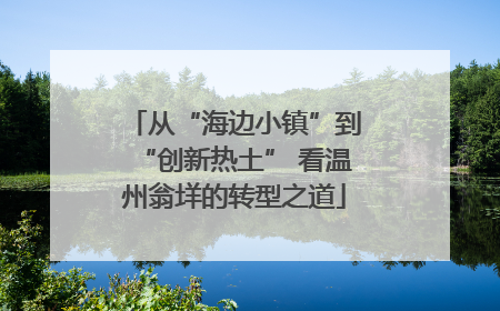从“海边小镇”到“创新热土” 看温州翁垟的转型之道