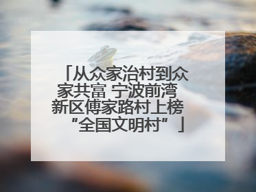 从众家治村到众家共富 宁波前湾新区傅家路村上榜“全国文明村”