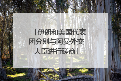 伊朗和美国代表团分别与阿曼外交大臣进行磋商