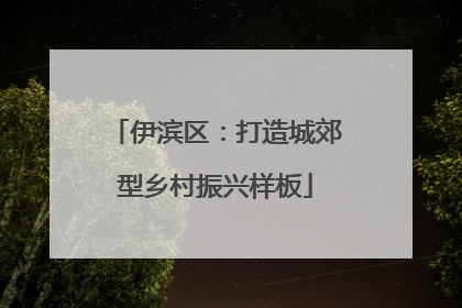 伊滨区：打造城郊型乡村振兴样板