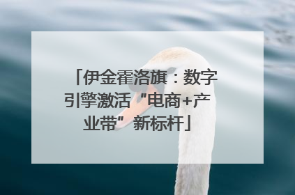 伊金霍洛旗：数字引擎激活“电商+产业带”新标杆