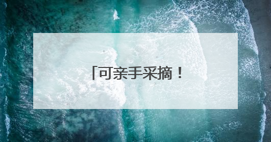 可亲手采摘！这里有超多夏日时令蔬菜上线