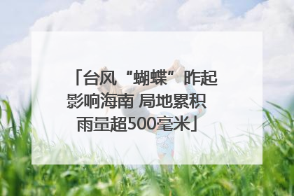 台风“蝴蝶”昨起影响海南 局地累积雨量超500毫米