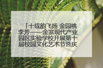 十载韵飞扬 金园桃李芳——金寨现代产业园区实验学校开展第十届校园文化艺术节暨庆“六一”系列活动