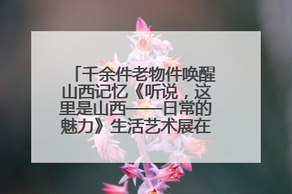 千余件老物件唤醒山西记忆《听说，这里是山西——日常的魅力》生活艺术展在忻州市图书馆开展