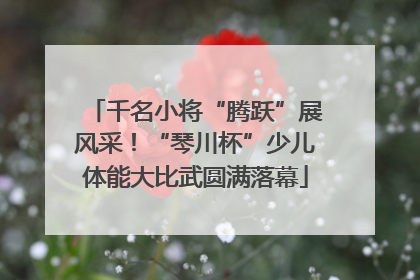千名小将“腾跃”展风采！“琴川杯”少儿体能大比武圆满落幕
