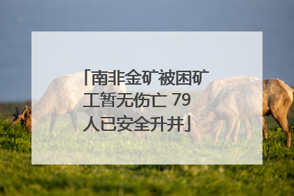南非金矿被困矿工暂无伤亡 79人已安全升井