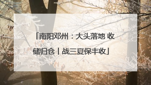 南阳邓州：大头落地 收储归仓丨战三夏保丰收