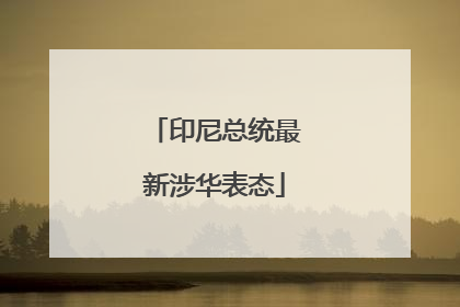 印尼总统最新涉华表态