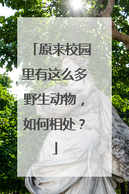 原来校园里有这么多野生动物，如何相处？