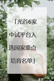 光谷6家中试平台入选国家重点培育名单
