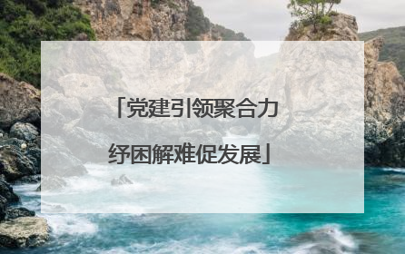 党建引领聚合力 纾困解难促发展