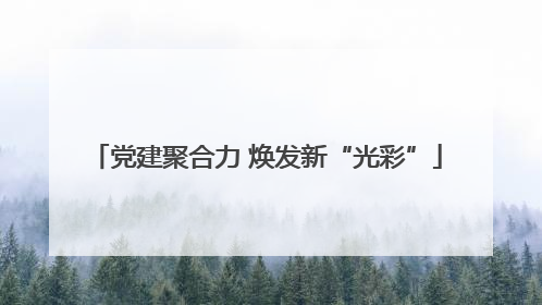 党建聚合力 焕发新“光彩”