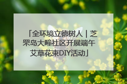 全环境立德树人｜芝罘岛大疃社区开展端午艾草花束DIY活动