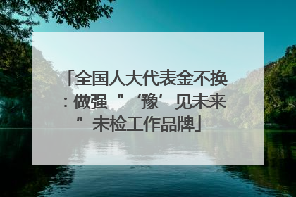 全国人大代表金不换：做强“‘豫’见未来”未检工作品牌
